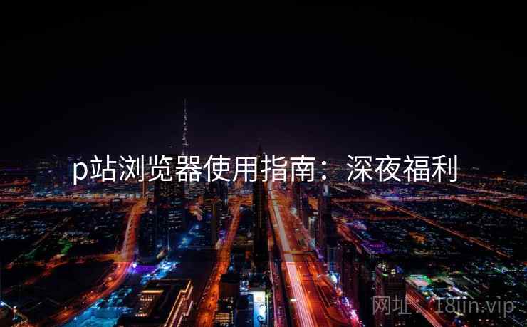p站浏览器使用指南：深夜福利