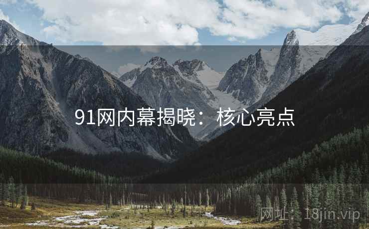 91网内幕揭晓:核心亮点 91网内幕揭晓:核心亮点