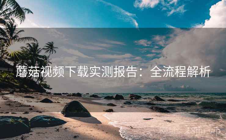 蘑菇视频下载实测报告：全流程解析