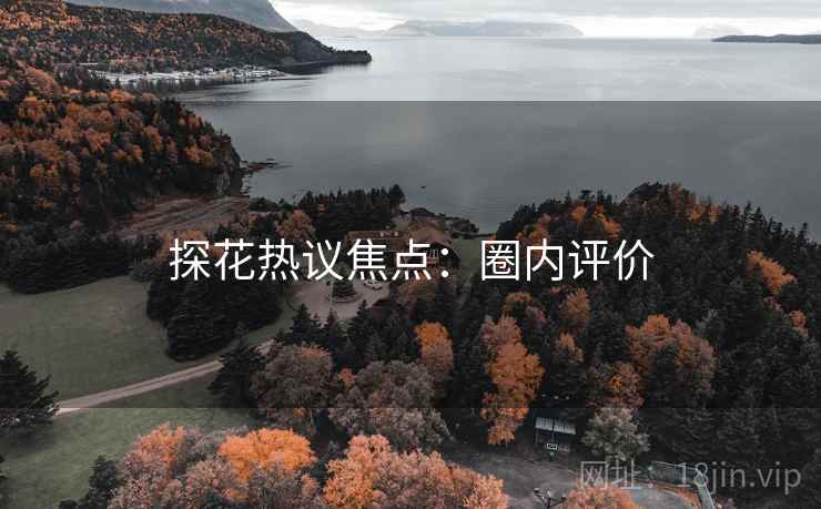 探花热议焦点：圈内评价