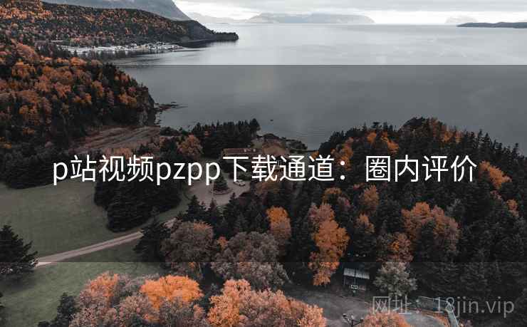 p站视频pzpp下载通道：圈内评价